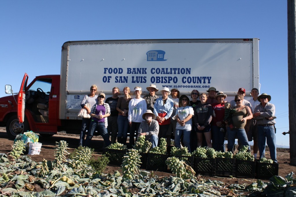 Brussels Sprouts blog