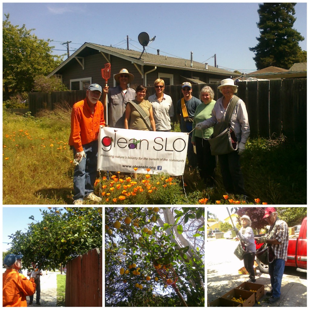 Arroyo Grande Neighborhood Glean collage
