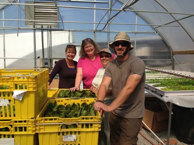 lettuce greenhouse gleaners blog