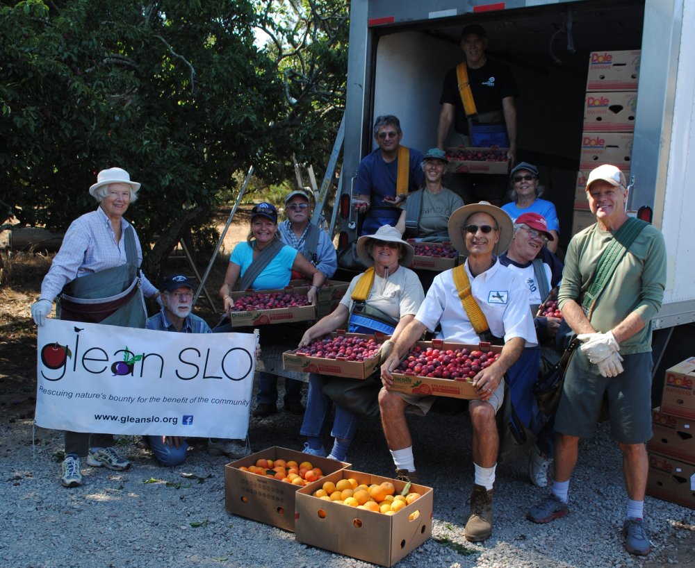 Group glean from 7:11:13