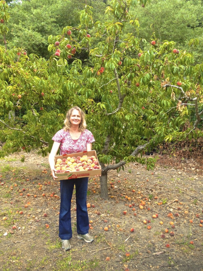 carolyn in peach orchard