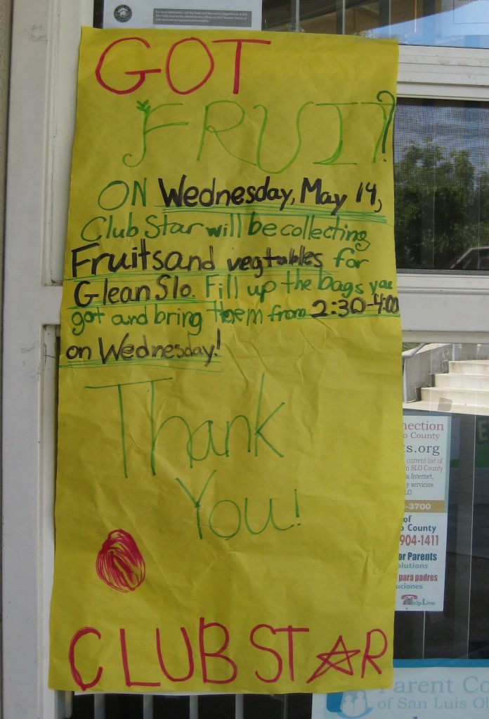 Sinsheimer Elementary students collect neighborhood fruit!