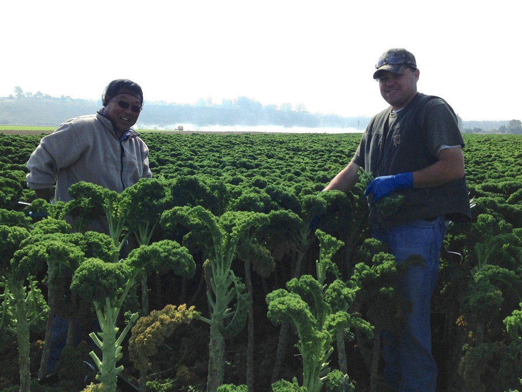 Tom Ikeda and Dan Sutton