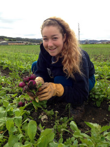 Emma harvesting radishes at Talley Farms