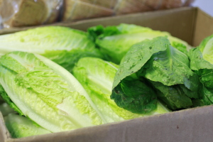 Photo by Carolyn Eicher